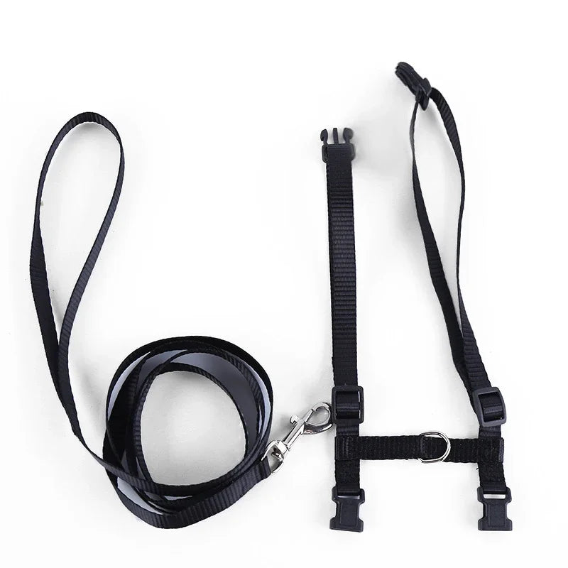 Kitten & Cat Harness and Leash Set — Escape-Proof, Adjustable with Bell