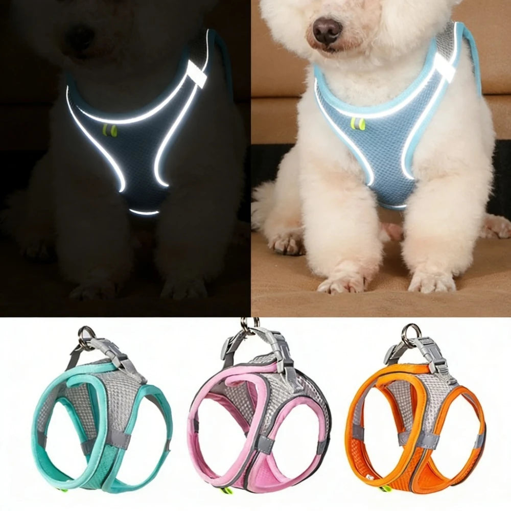 Reflective Adjustable Harness for Dogs & Cats — Vest with Leash for Walking