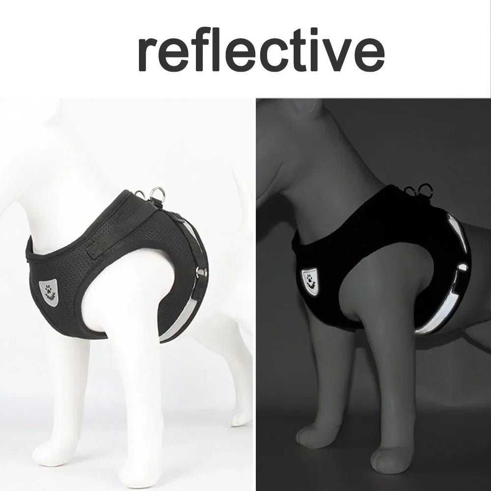 Escape-Proof Cat Harness — Reflective Mesh Vest with Leash, Adjustable