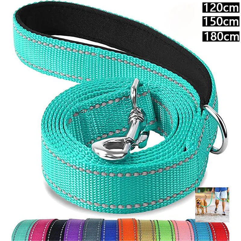 Reflective Dog & Cat Leash — Safe Walks Day and Night