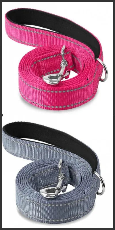 Reflective Dog & Cat Leash — Safe Walks Day and Night