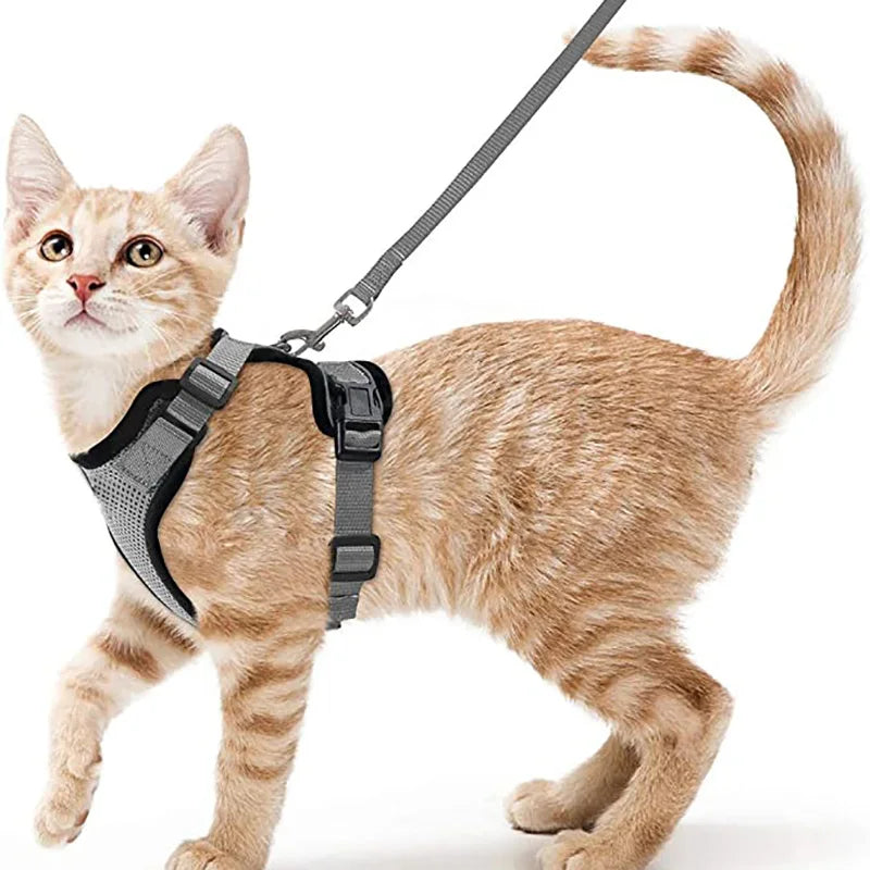 Arnés y Correa para Gatos — Suave, Ajustable y Escape-Proof