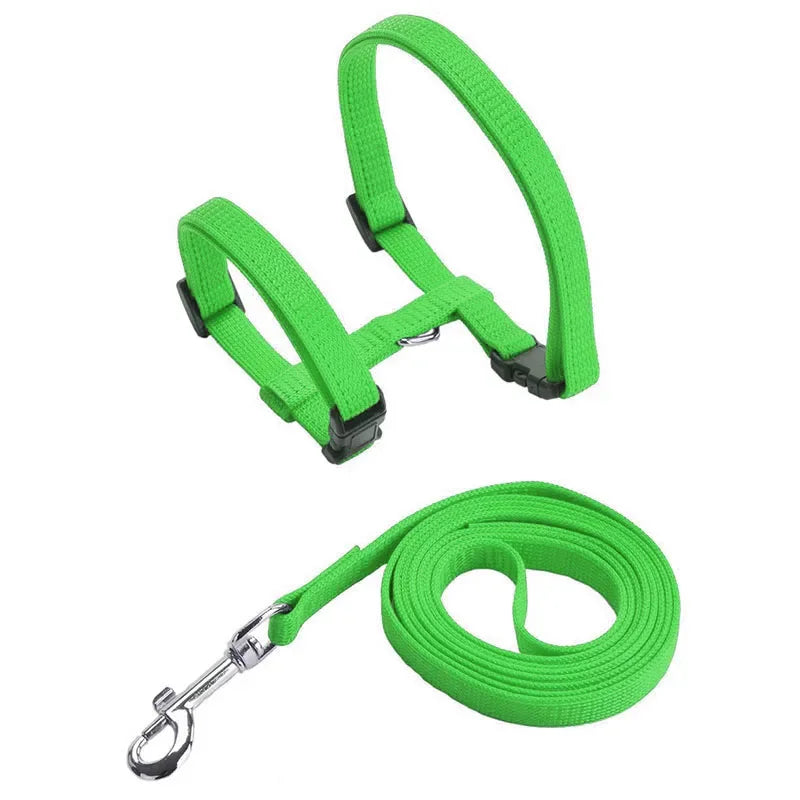 Kitten & Cat Harness and Leash Set — Escape-Proof, Adjustable with Bell