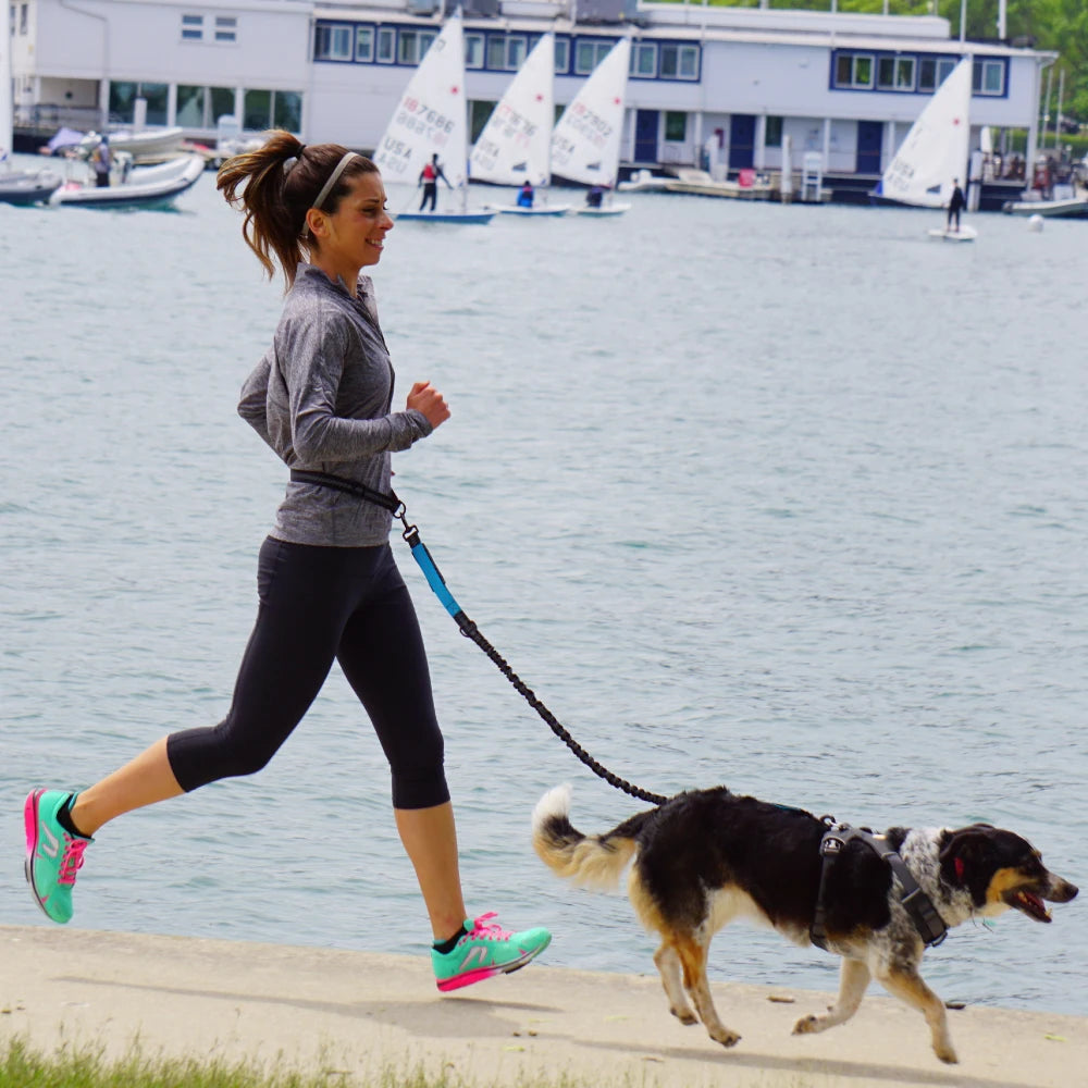 Hands-Free Dog Leash — Adjustable, Reflective & Comfortable for Running & Walking