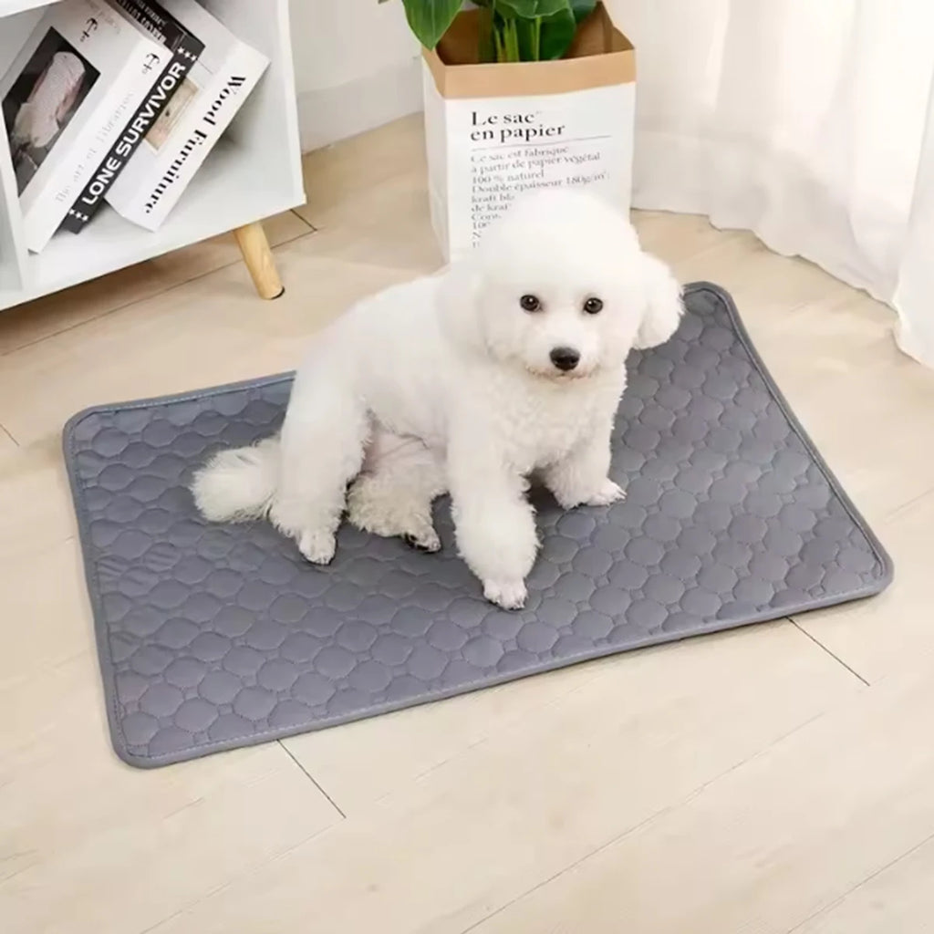 Reusable Waterproof Pet Mat for Dogs & Cats – Absorbent & Washable