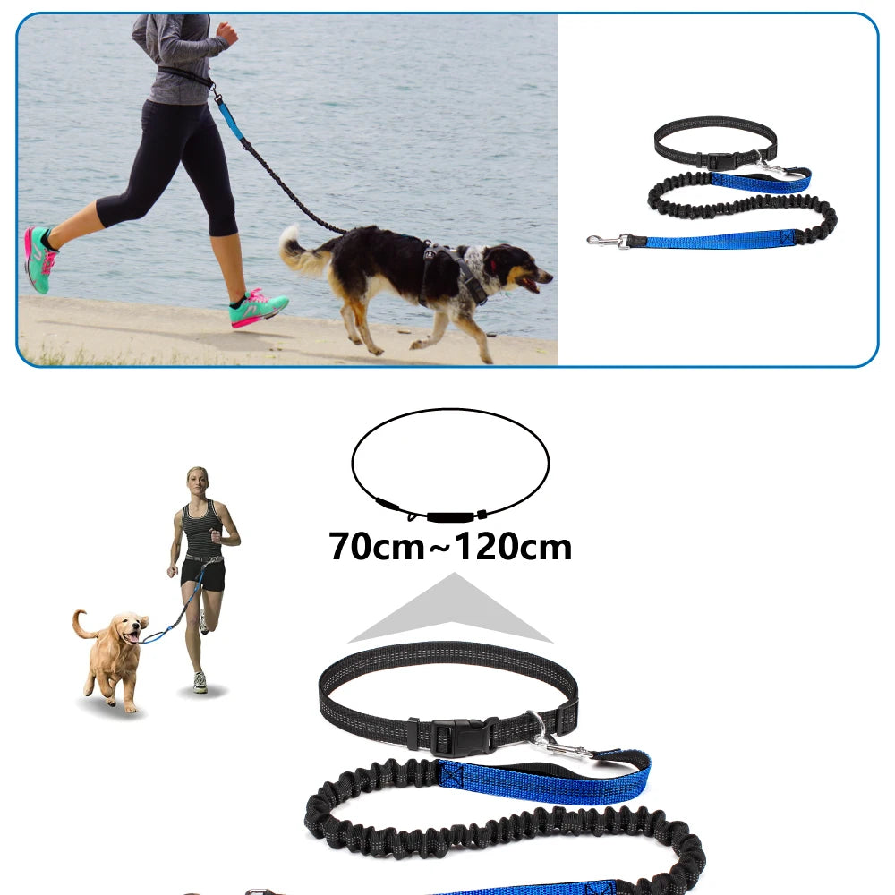 Hands-Free Dog Leash — Adjustable, Reflective & Comfortable for Running & Walking