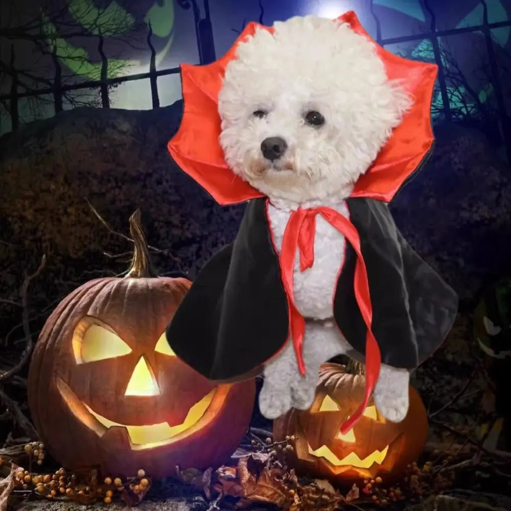 Halloween Costume for Pets – Knight Cape for Dogs and Cats