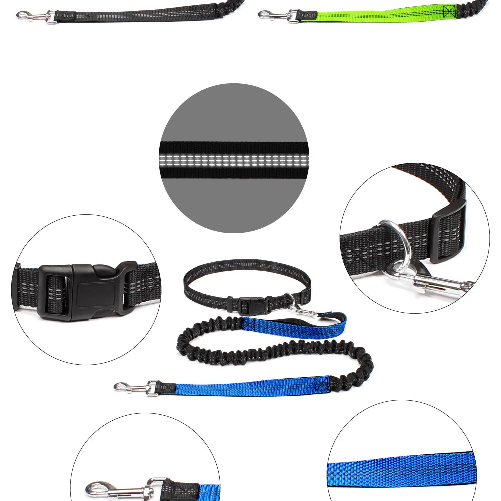 Hands-Free Dog Leash — Adjustable, Reflective & Comfortable for Running & Walking