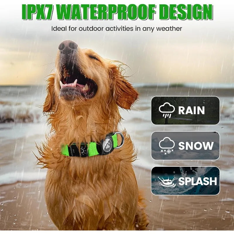 Rechargeable LED Dog Collar with Built-In AirTag Holder — Waterproof & Reflective