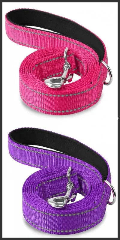 Reflective Dog & Cat Leash — Safe Walks Day and Night