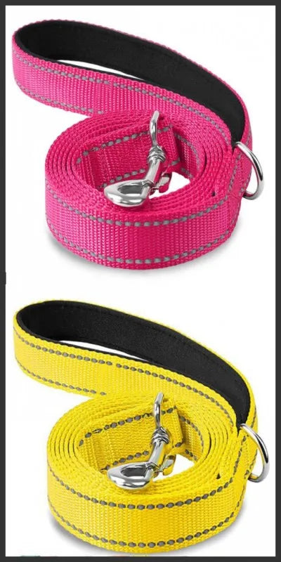 Reflective Dog & Cat Leash — Safe Walks Day and Night