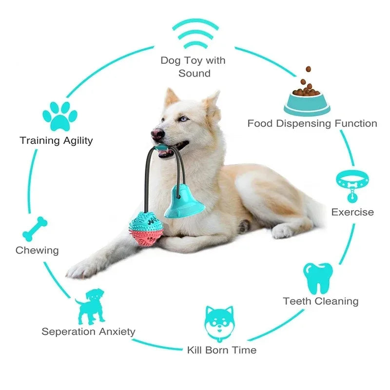 Tough Chew Toy for Large Dogs – Natural Rubber Bone with Beef Flavor & Dental Cleaning