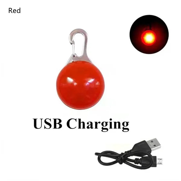 USB Rechargeable LED Dog Collar Pendant — Night Safety Light