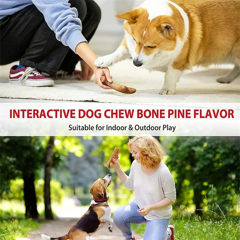 Real Deer Antler Dog Chew Toy – Indestructible Natural Wood for Aggressive Chewers