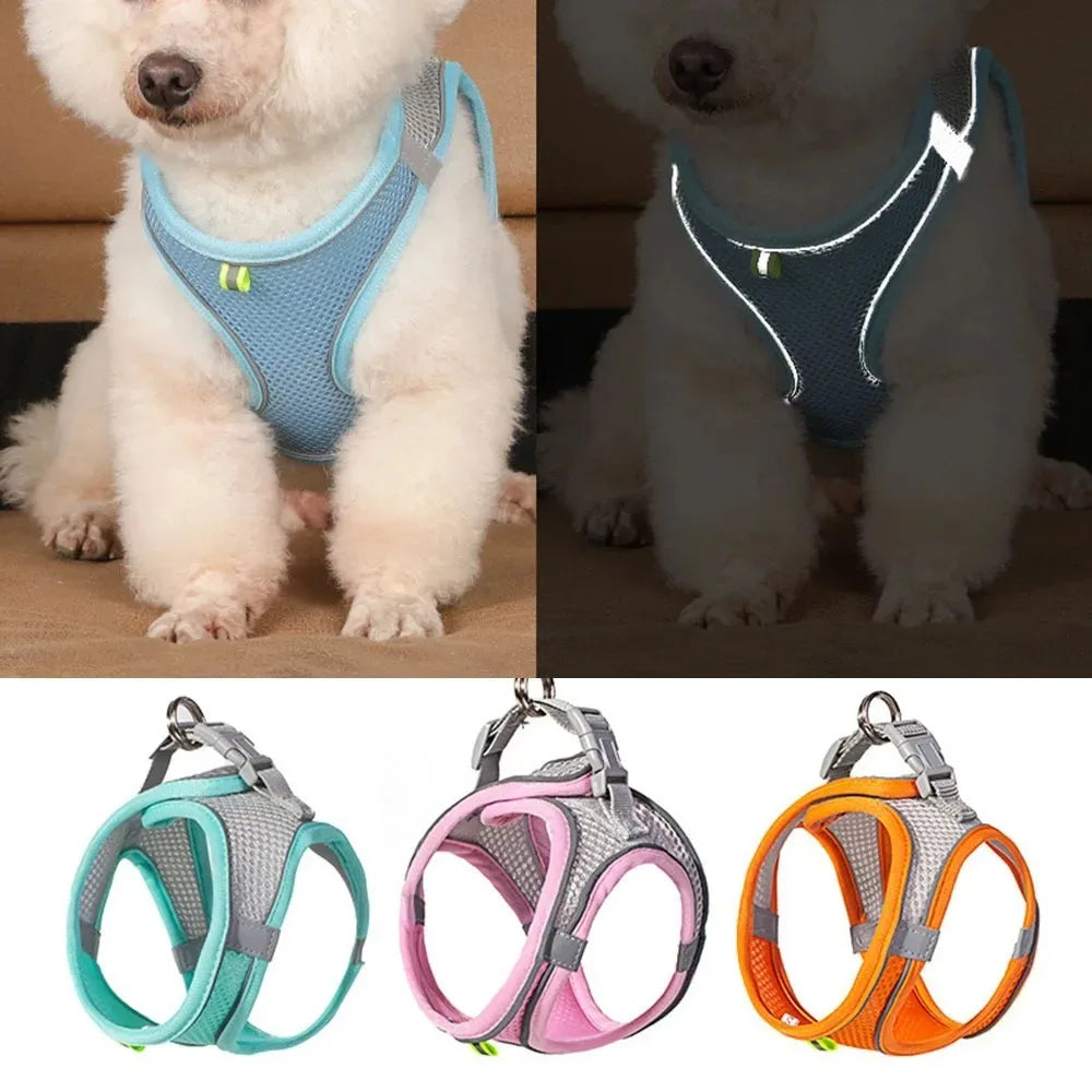 Reflective Adjustable Harness for Dogs & Cats — Vest with Leash for Walking