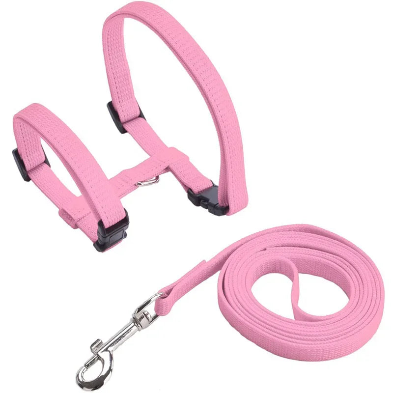 Kitten & Cat Harness and Leash Set — Escape-Proof, Adjustable with Bell