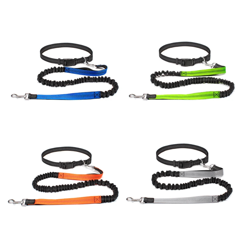 Hands-Free Dog Leash — Adjustable, Reflective & Comfortable for Running & Walking