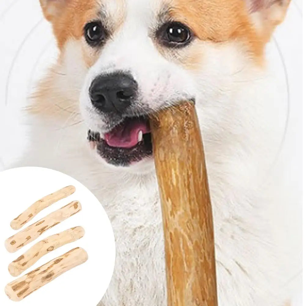 Coffee Wood Dog Chew Stick – Natural Dental Cleaning & Stress Relief