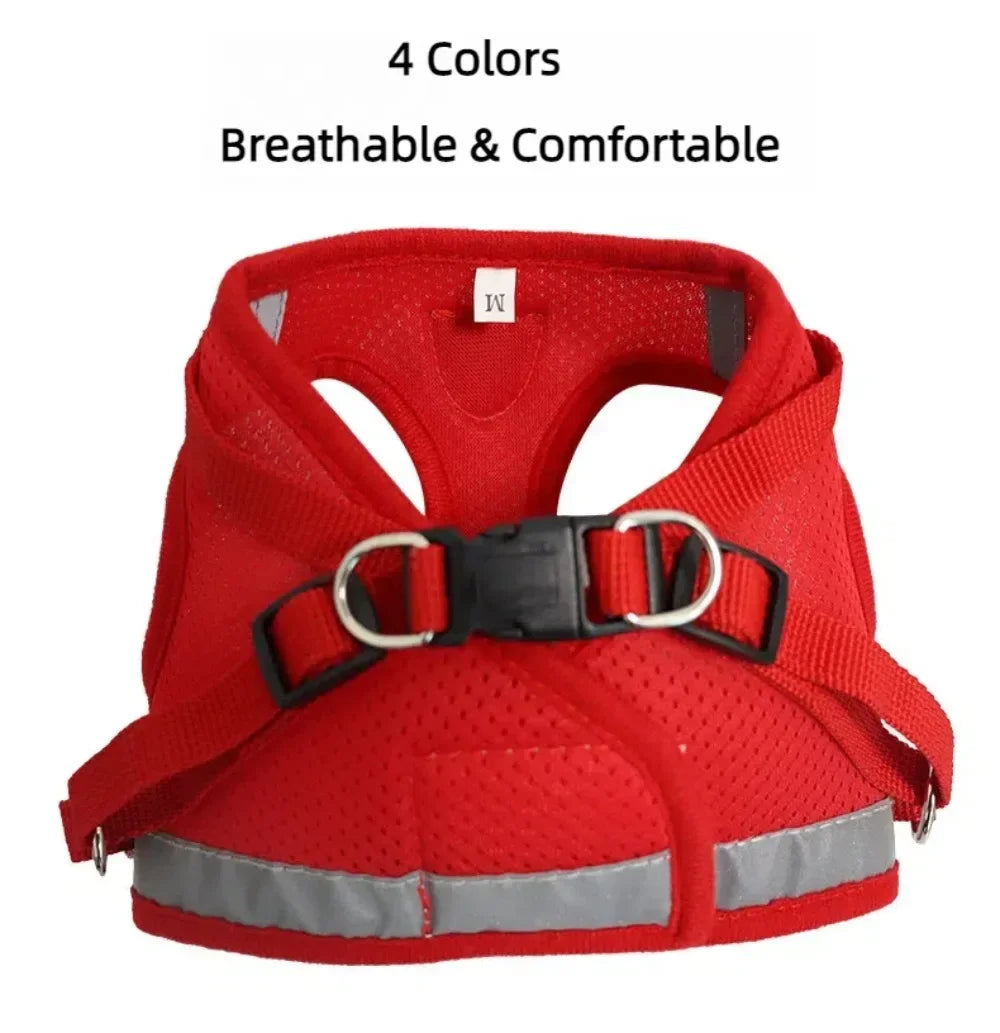 Escape-Proof Cat Harness — Reflective Mesh Vest with Leash, Adjustable
