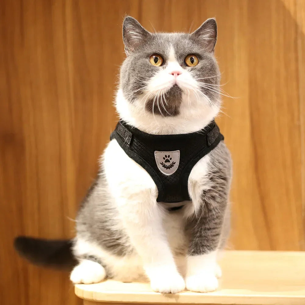 Escape-Proof Cat Harness — Reflective Mesh Vest with Leash, Adjustable