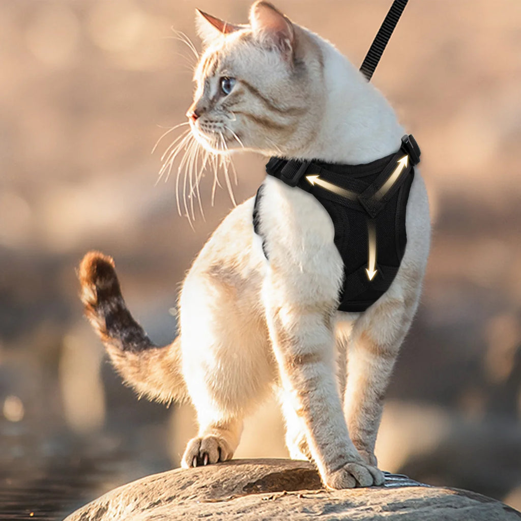Cat & Dog Harness and Leash Set — Escape-Proof, Reflective & Adjustable