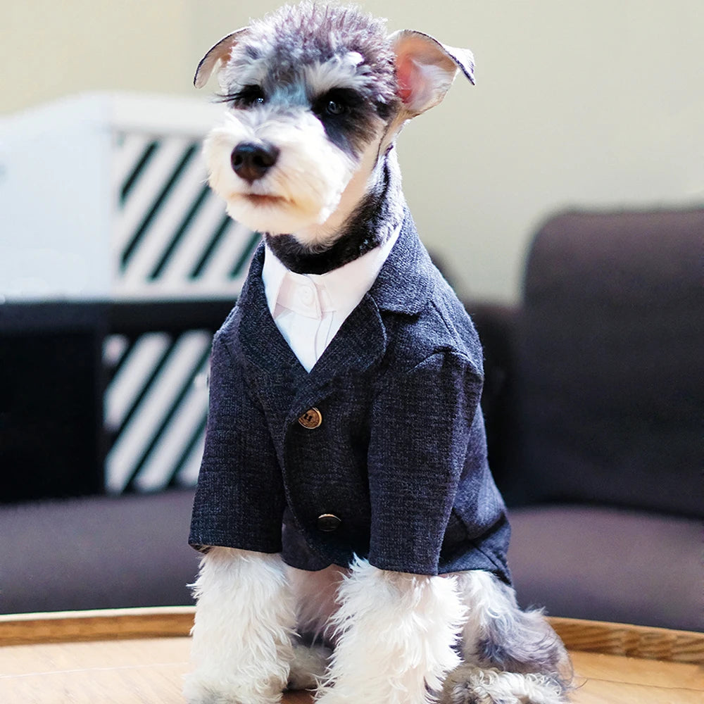 Knight Suit for Dogs and Cats – Jacket and Vest for Weddings and Parties