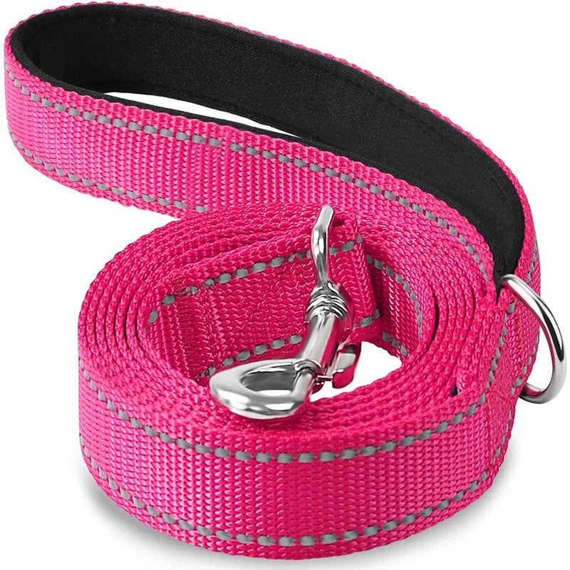 Reflective Dog & Cat Leash — Safe Walks Day and Night