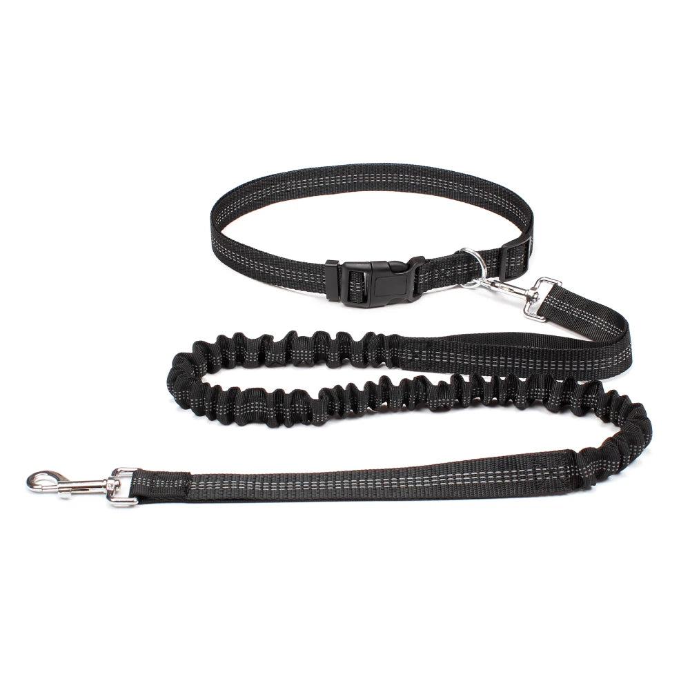 Hands-Free Dog Leash — Adjustable, Reflective & Comfortable for Running & Walking