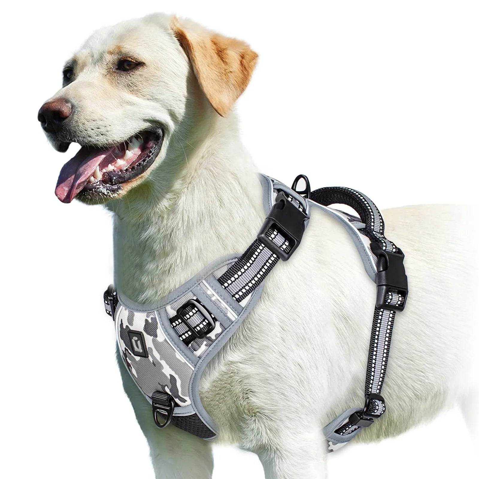 Arnés Sin Jalón para Perros – Chaleco Acolchado Ajustable con Asa de Control