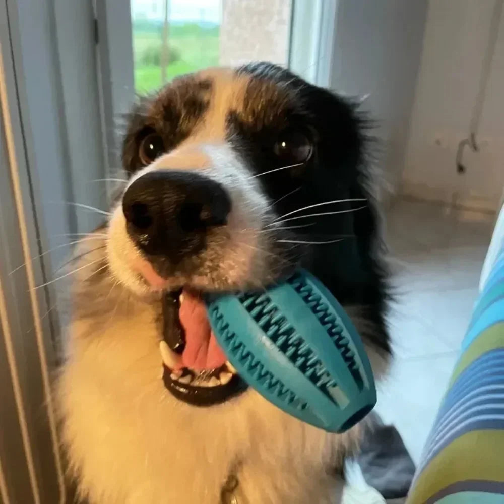Rubber Chew Ball for Dogs – Dental Cleaning & Treat Dispenser – Medium to Large