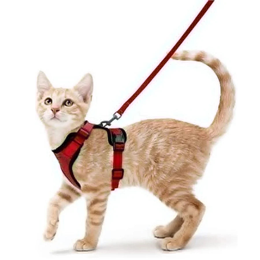 Arnés y Correa para Gatos — Suave, Ajustable y Escape-Proof