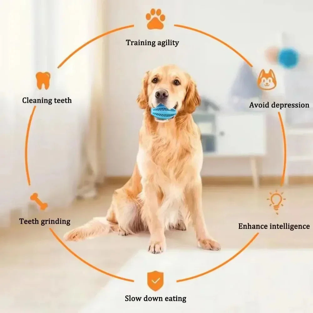 Rubber Chew Ball for Dogs – Dental Cleaning & Treat Dispenser – Medium to Large