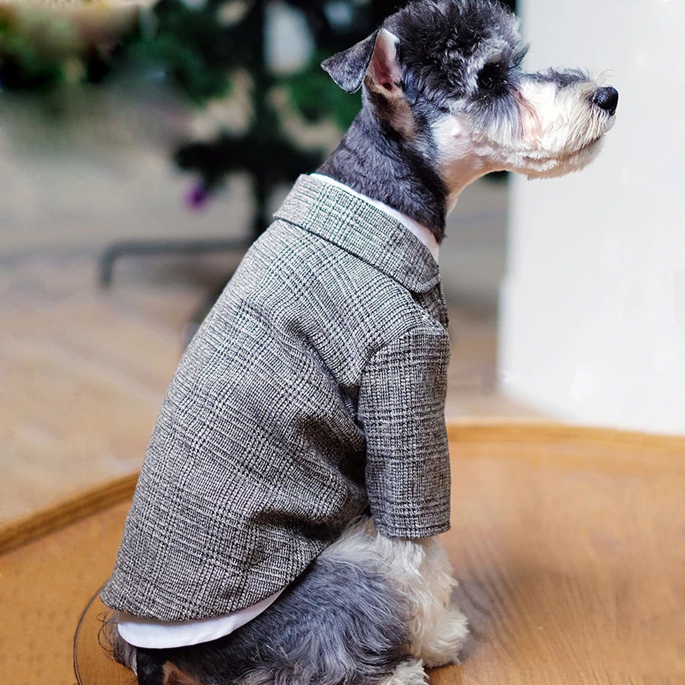 Knight Suit for Dogs and Cats – Jacket and Vest for Weddings and Parties