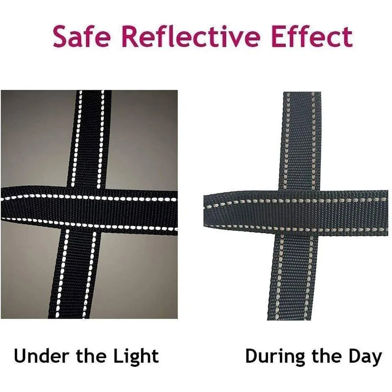 Reflective Dog & Cat Leash — Safe Walks Day and Night