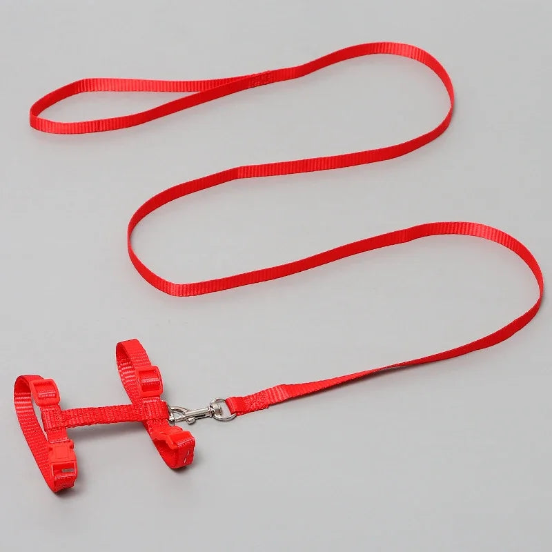 Kitten & Cat Harness and Leash Set — Escape-Proof, Adjustable with Bell