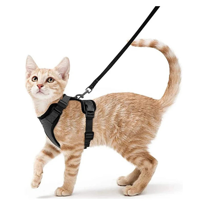 Arnés y Correa para Gatos — Suave, Ajustable y Escape-Proof
