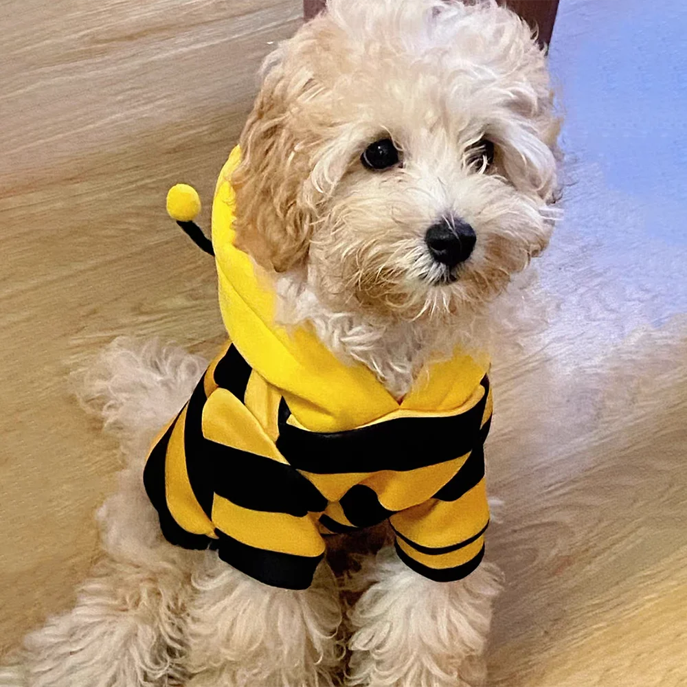 Bee Costume for Dogs & Cats – Adorable Hoodie for Halloween & Parties
