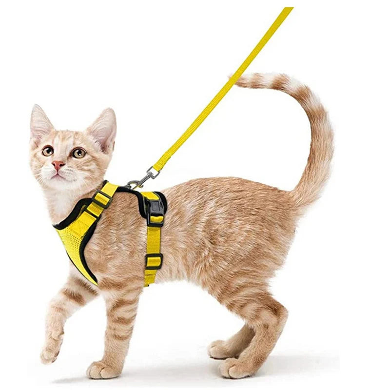 Arnés y Correa para Gatos — Suave, Ajustable y Escape-Proof