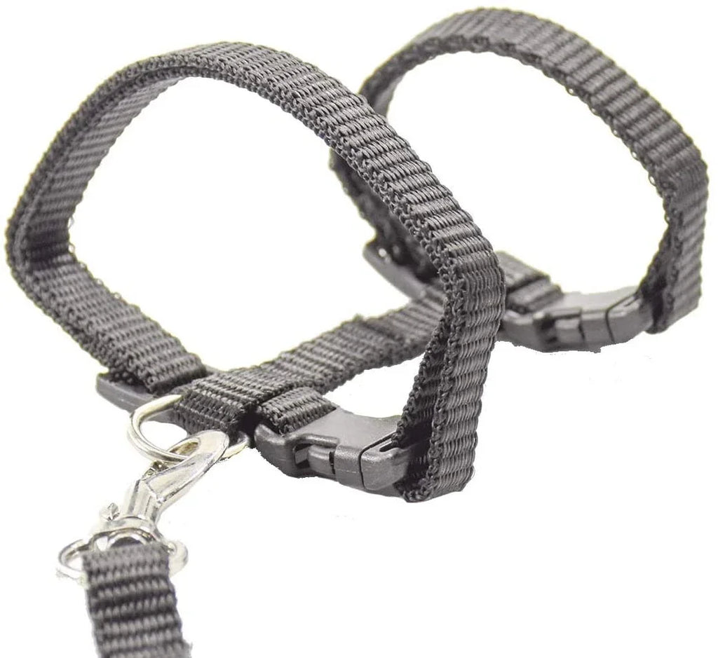 Kitten & Cat Harness and Leash Set — Escape-Proof, Adjustable with Bell
