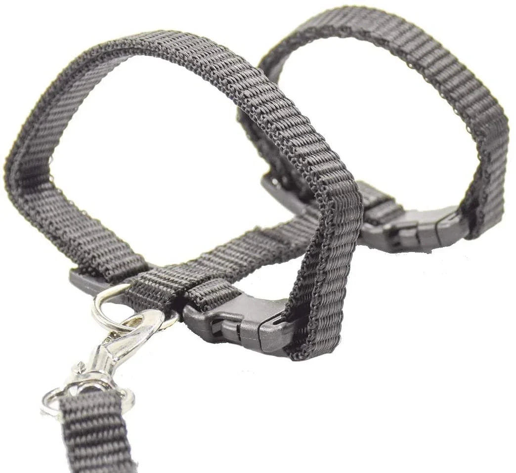Kitten & Cat Harness and Leash Set — Escape-Proof, Adjustable with Bell