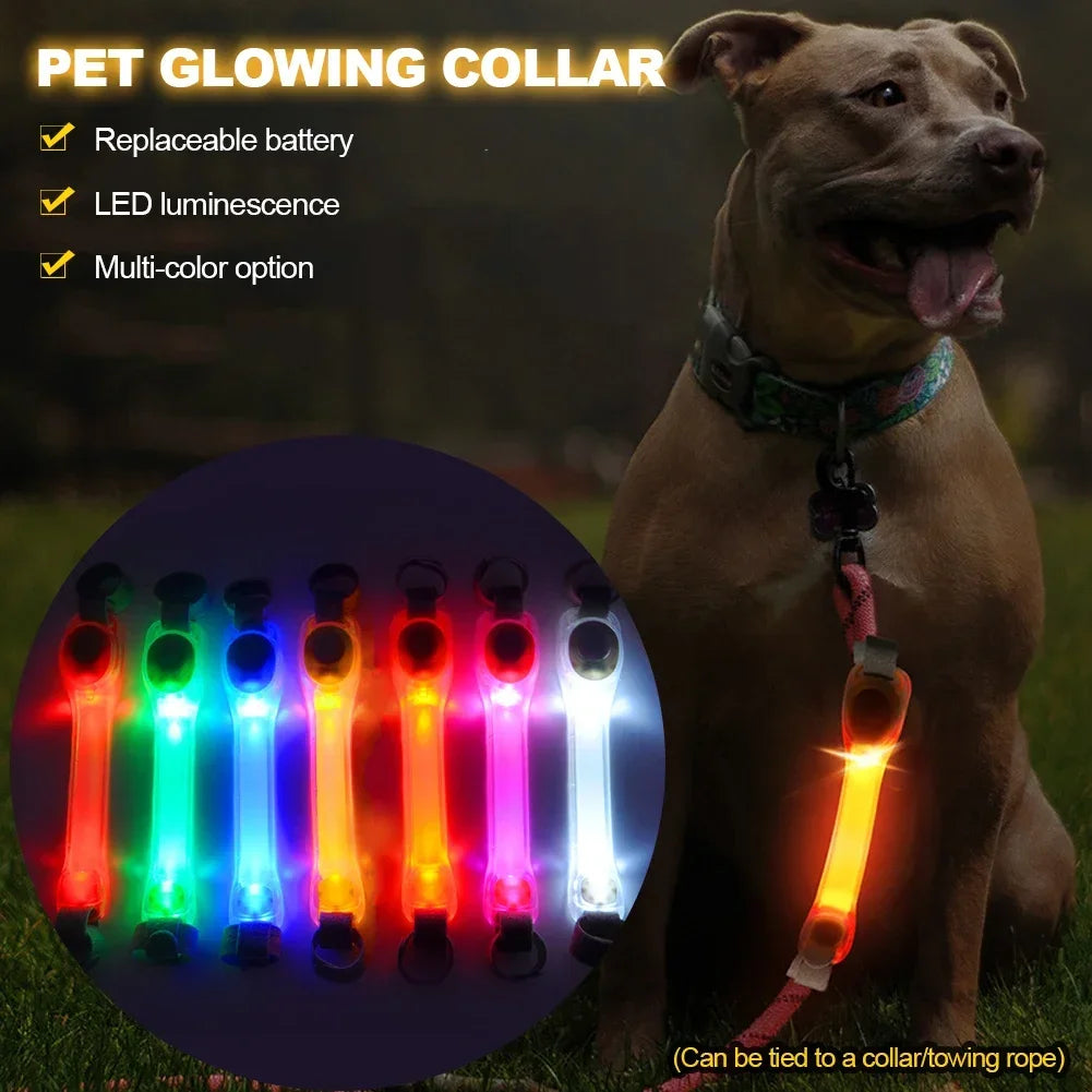 LED Safety Strip for Dogs — Waterproof with Flashing Night Light
