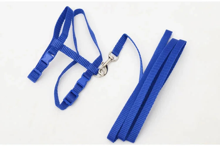 Kitten & Cat Harness and Leash Set — Escape-Proof, Adjustable with Bell
