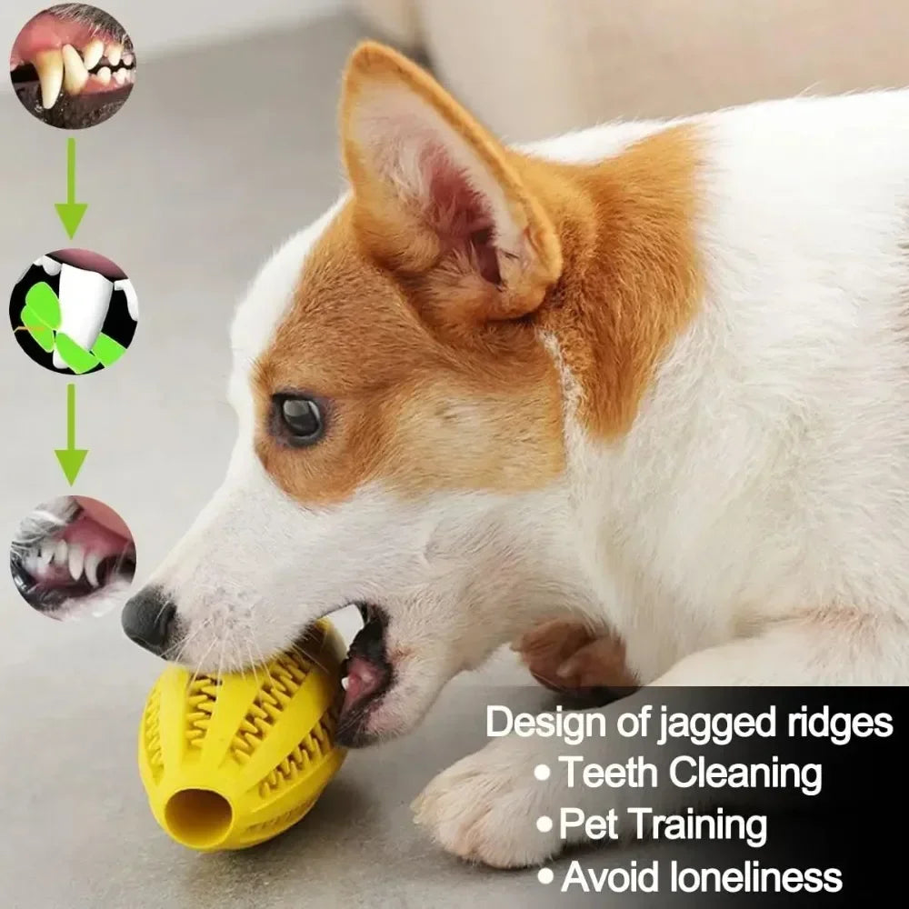 Rubber Chew Ball for Dogs – Dental Cleaning & Treat Dispenser – Medium to Large
