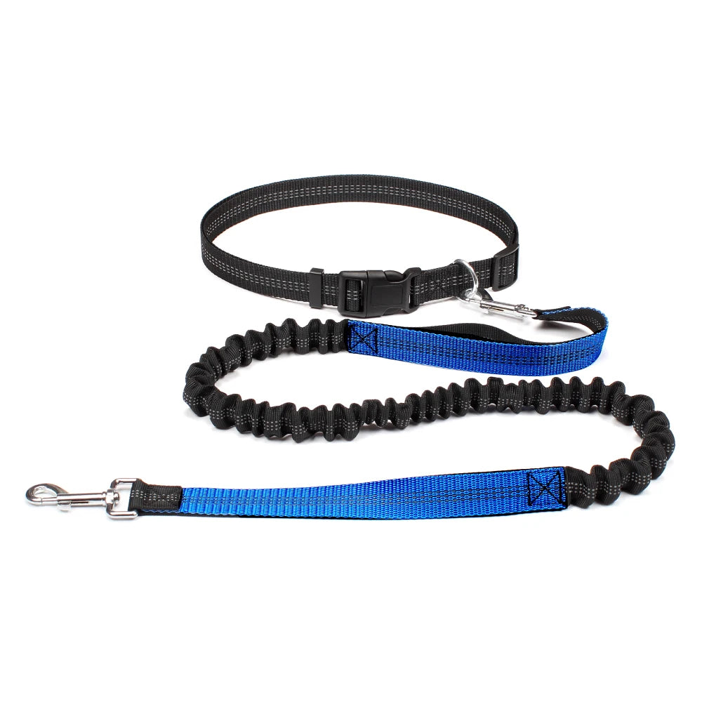 Hands-Free Dog Leash — Adjustable, Reflective & Comfortable for Running & Walking