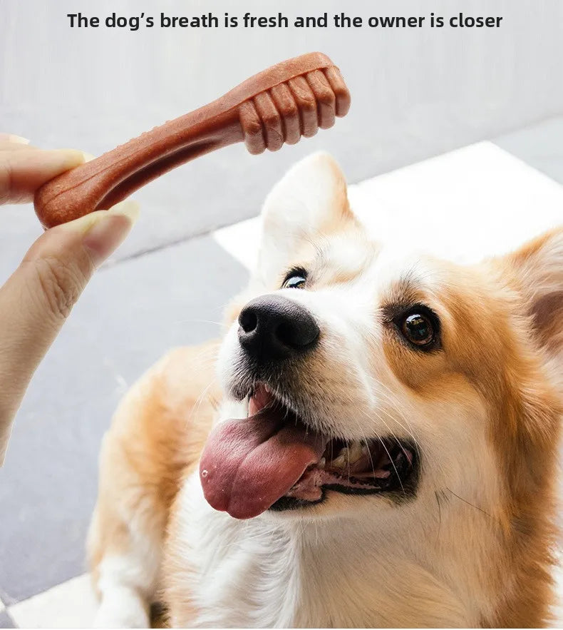 Dog Dental Chew Sticks - Beef Flavor, Dental Cleaning & Training