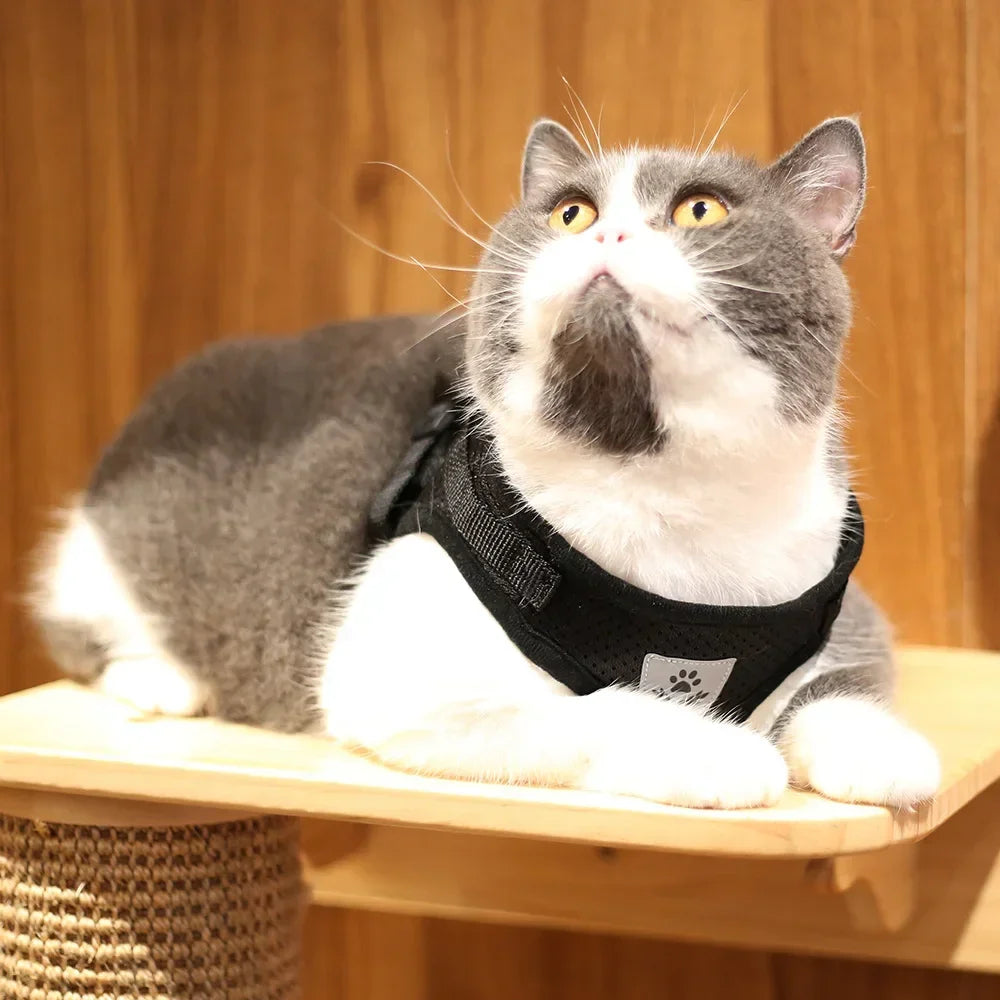 Escape-Proof Cat Harness — Reflective Mesh Vest with Leash, Adjustable