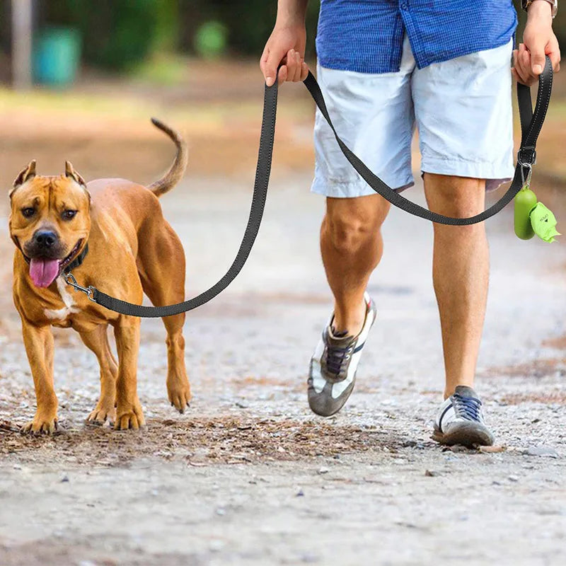 Reflective Dog & Cat Leash — Safe Walks Day and Night